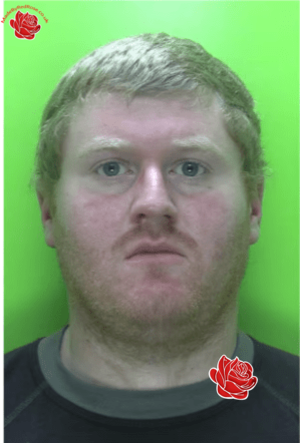 Christopher Rowe – profile image