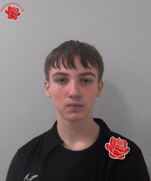 Dylan Ansell – profile image