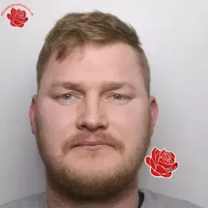 Janis Vizulins – profile image