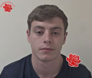 Liam Netherton – profile image