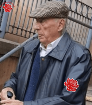 Michael Haugh – profile image