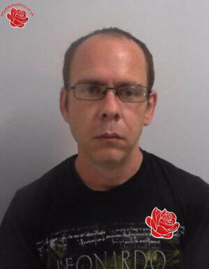 David Chamberlain – profile image