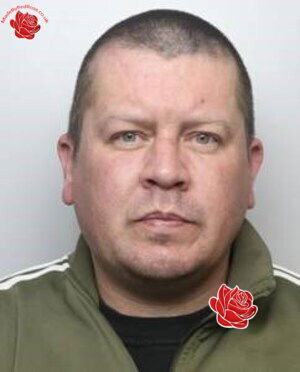 Robert Mitchell – profile image
