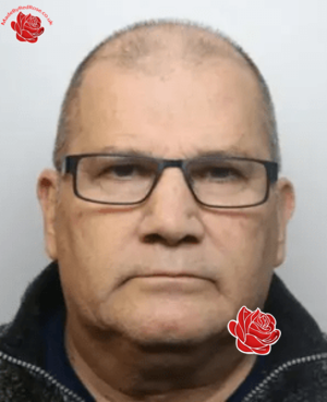 Martin Arnold – profile image