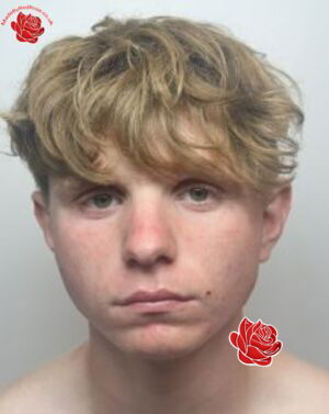 Joshua Checksfield – profile image