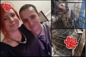 Kieran Hands/April Pearce – profile image