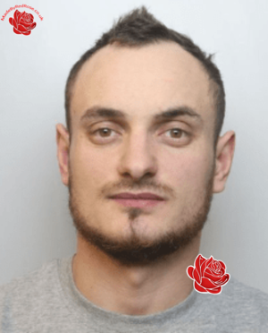 Alin – profile image