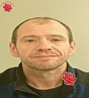 Stephen Powell – profile image