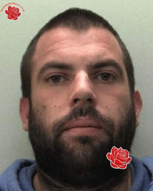 Michael Schofield – profile image
