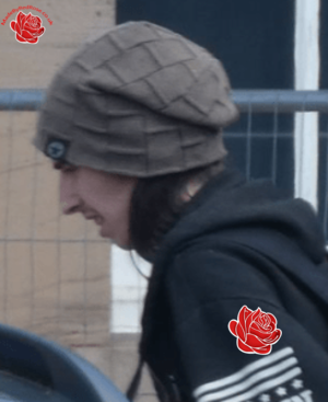 Kyle Garner – profile image