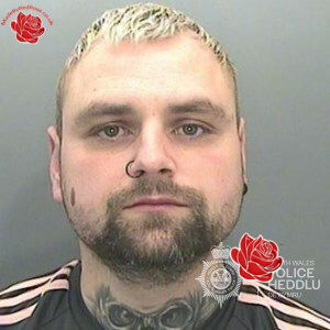 Andrew Webb – profile image