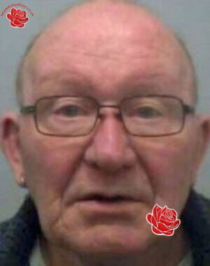 Dennis McGrory – profile image