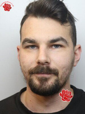 Jordan Williamson – profile image