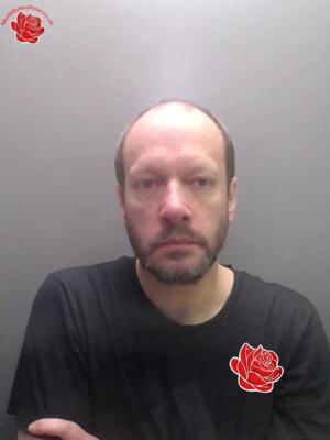 David Roberts – profile image