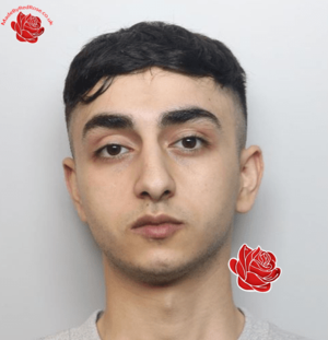 Mohamad Amanallahpour – profile image