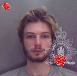 Elliot Pitt – profile image