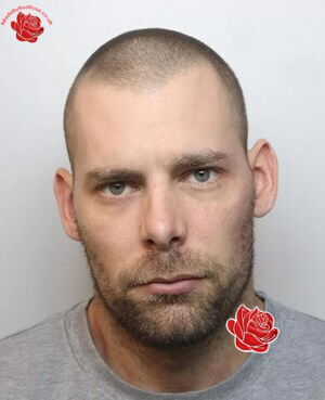 Damien Bendall – profile image