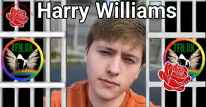 Harry Williams – profile image