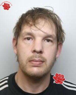 Shaun Hamilton – profile image