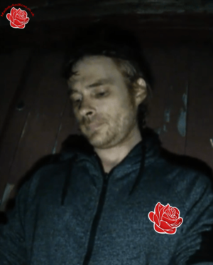 Steven Allan – profile image