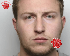 Luke Little – profile image