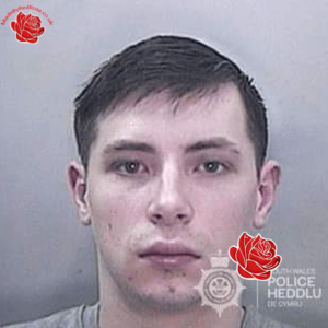 Rhys Stone – profile image