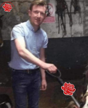 Harry Evans – profile image