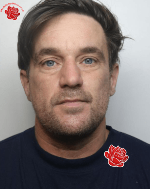 Mark Buckley – profile image