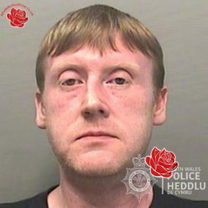 Neil Thomas – profile image