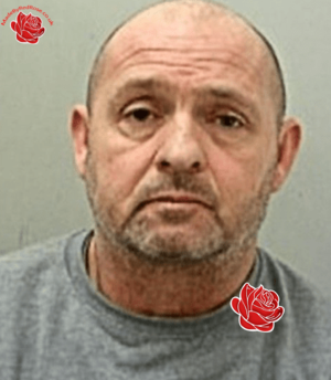 Mark Yeates – profile image