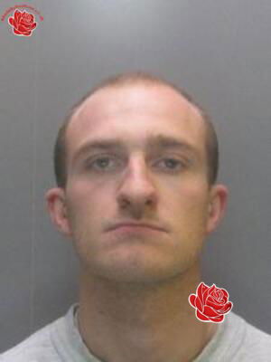 Michael Hodgson – profile image