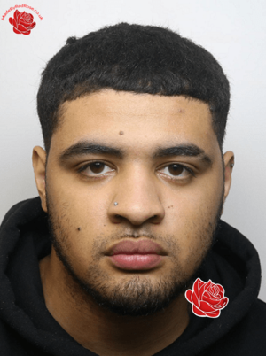 Deniel Walker – profile image