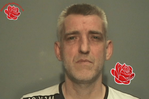 Thomas McCabe – profile image