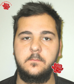 Ashley Hill – profile image