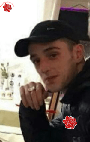Daniel Cook – profile image
