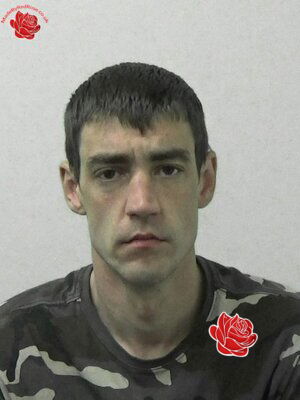Alan Rothwell – profile image