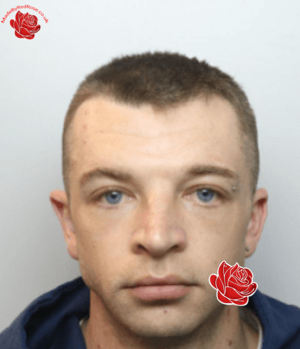 Stephen Bonnett – profile image