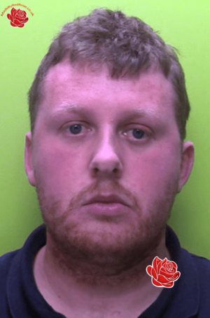 Matthew Harrison – profile image