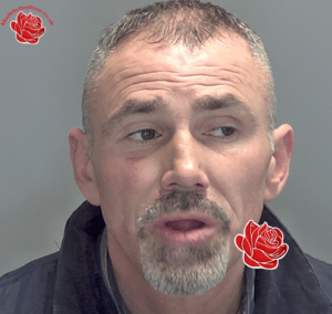Mark Allgood – profile image