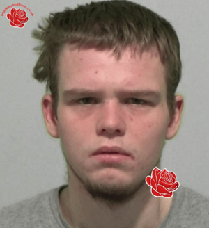 Luke Proffit – profile image
