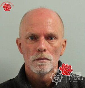 David Carey – profile image