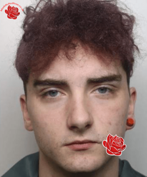 Lee Wickers – profile image