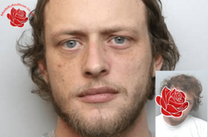 Adam Harrison – profile image