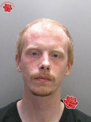 Craig Elliott – profile image