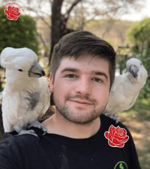 Josh Stratford – profile image