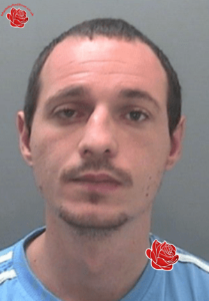 Matthew Love – profile image