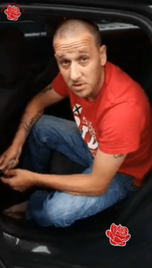 Brian Barnes – profile image
