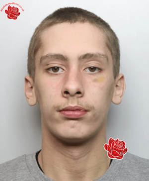 Reece Wigglesworth – profile image