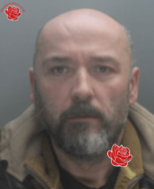 David Bottomley – profile image