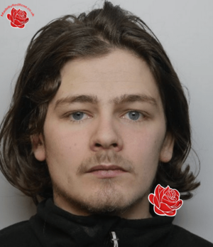 Zach Peploe – profile image
